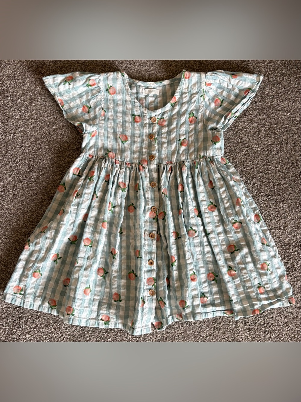next Light Blue Gingham Peach Print Button-Front Kids Dress